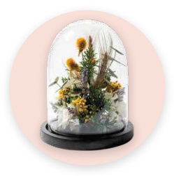 Flowers In Glass Domes